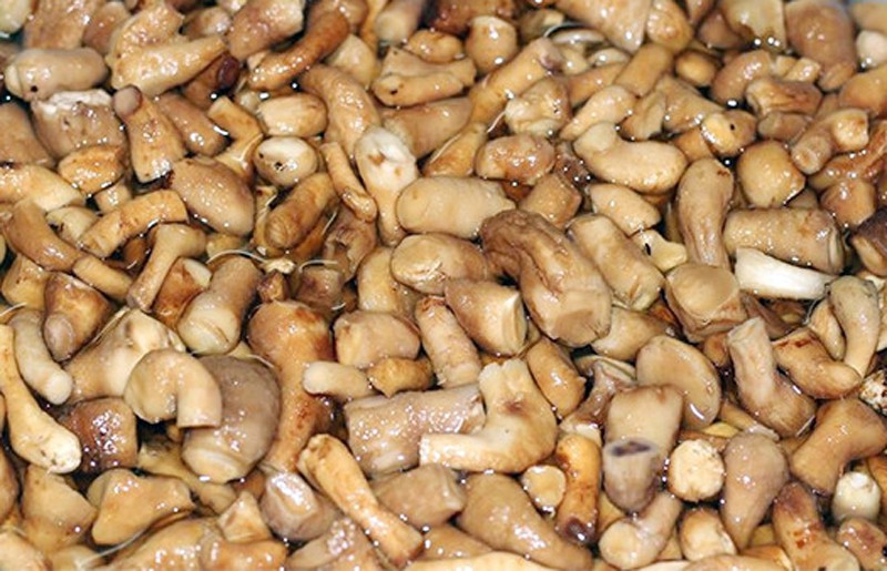 Ruốc nấm gợi nhớ tuổi thơ tr&ecirc;n triền đ&ecirc; đầy cỏ - Ảnh 1.