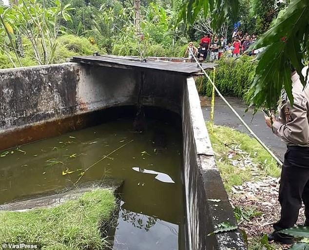 C&aacute; sấu nhảy l&ecirc;n tường cao 2,5 m, giết chết nh&agrave; khoa học nữ - Ảnh 3.