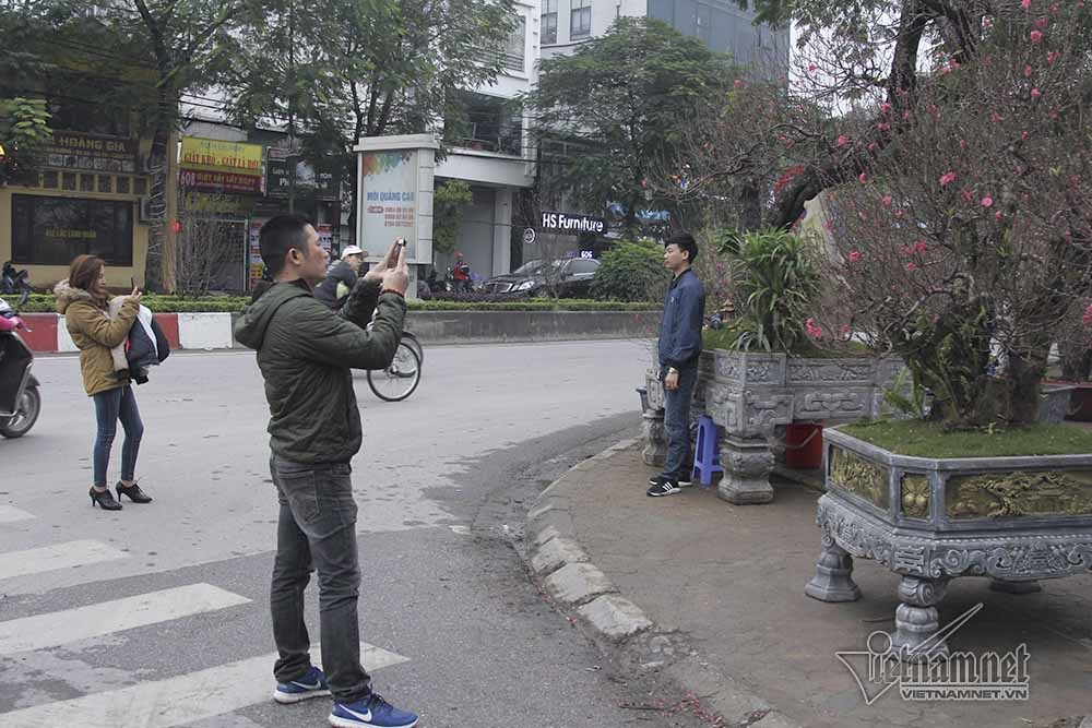 Bất ngờ với c&acirc;y đ&agrave;o ven đường, gốc mục ruỗng c&oacute; gi&aacute; đến 120 triệu đồng - Ảnh 11.