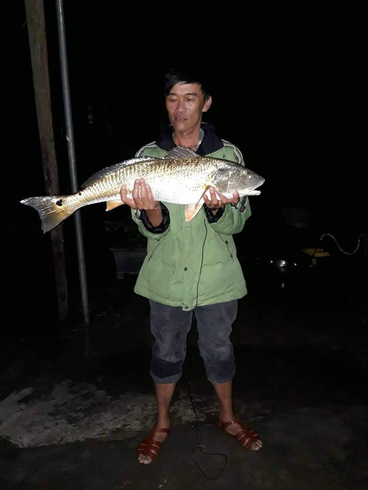 C&acirc;u được c&aacute; lạ v&agrave;ng &oacute;ng nghi l&agrave; c&aacute; sủ v&agrave;ng qu&yacute; hiếm - Ảnh 1.