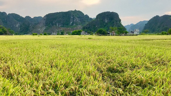 Về n&uacute;i rừng h&ugrave;ng vĩ ở cố đ&ocirc; Ninh B&igrave;nh - Ảnh 4.
