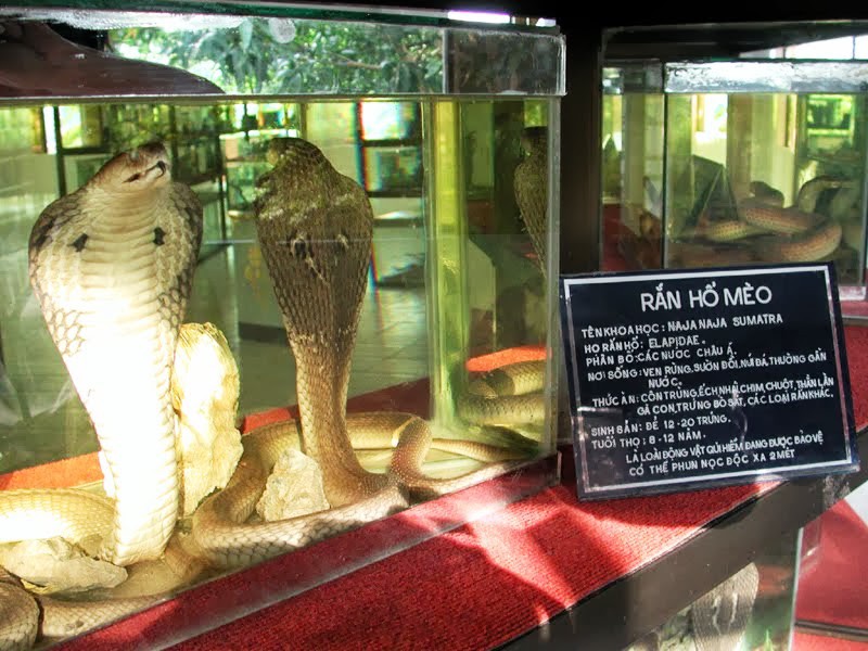 7 địa điểm kh&ocirc;ng thể bỏ qua khi đến Tiền Giang - Ảnh 9.