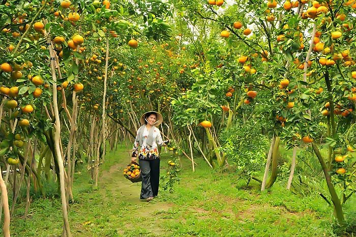 7 địa điểm kh&ocirc;ng thể bỏ qua khi đến Tiền Giang - Ảnh 10.