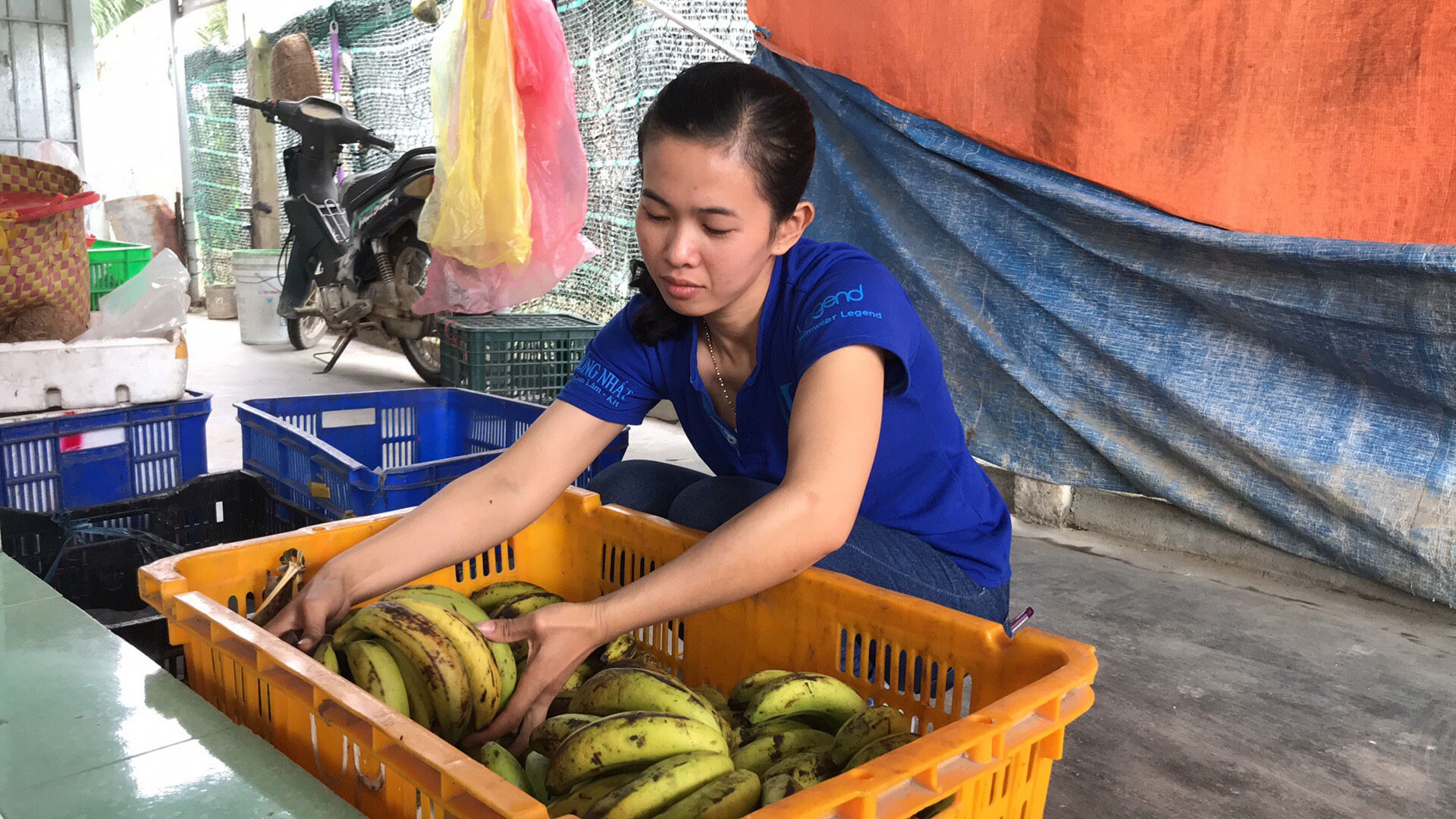 Chương tr&igrave;nh &ldquo;Xu&acirc;n nh&acirc;n &aacute;i - Tết y&ecirc;u thương&rdquo; (*): Sống vui, sống c&oacute; &iacute;ch - Ảnh 1.