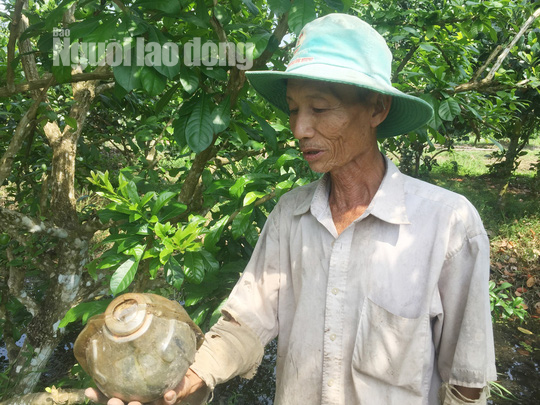 73 tuổi, cụ &ocirc;ng vẫn qu&aacute;n xuyến vườn đ&agrave;o ti&ecirc;n khủng tạo h&igrave;nh hồ l&ocirc;  - Ảnh 9.
