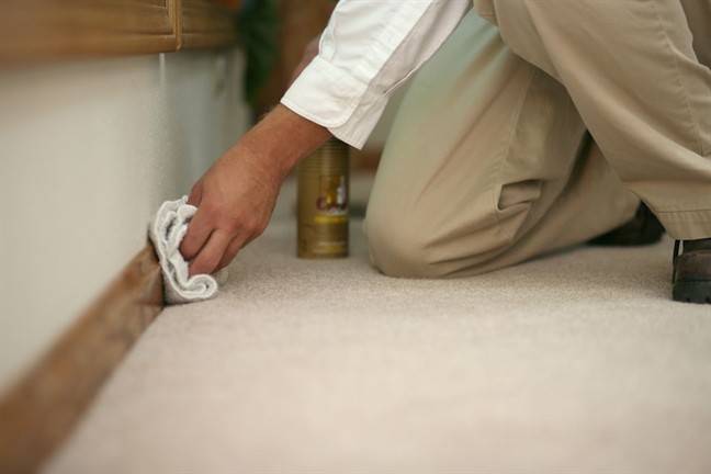 Cảnh báo 5 ổ vi khuẩn thường bị bỏ quên khi vệ sinh nhà - Ảnh 2.