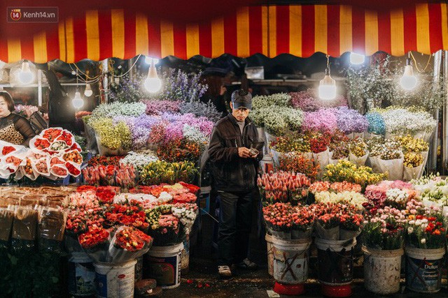 Chợ hoa Quảng An sáng đèn, lung linh những ngày giáp Tết