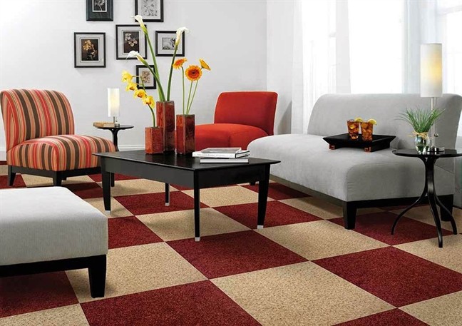 Cảnh báo 5 ổ vi khuẩn thường bị bỏ quên khi vệ sinh nhà - Ảnh 4.