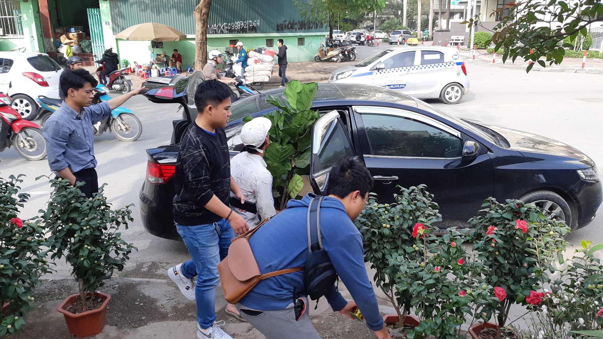 Hồng ngoại, hồng cổ Sapa "hét giá" chục triệu đồng/chậu