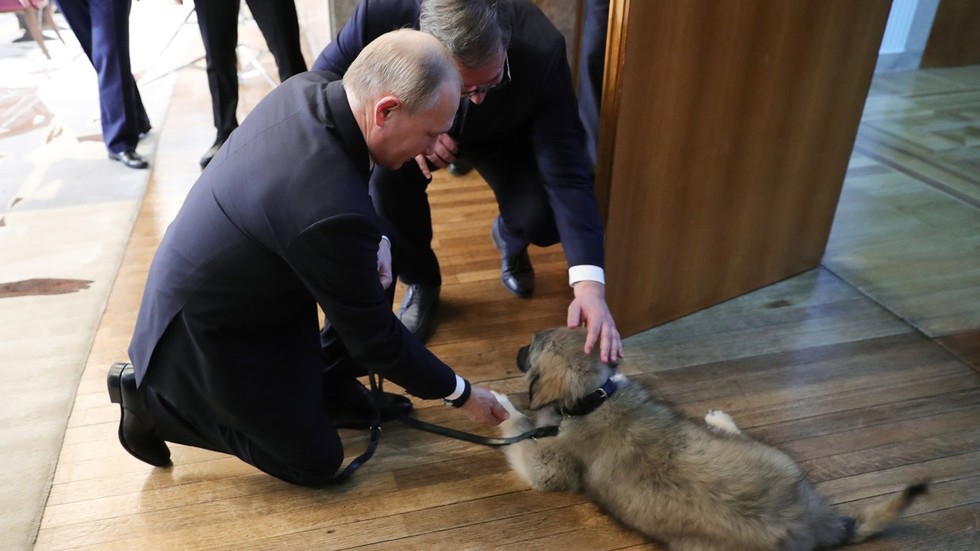 Tổng thống Putin được tặng quà đặc biệt ở Serbia