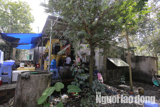 X&oacute;t l&ograve;ng đ&aacute;m tang vợ chồng ngh&egrave;o chết dưới b&aacute;nh xe container, bỏ lại 3 con thơ - Ảnh 6.