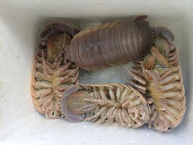 Những đặc sản hiếm c&oacute; kh&oacute; t&igrave;m &ldquo;ăn l&agrave; ghiền&rdquo; ở Quy Nhơn - Ảnh 3.