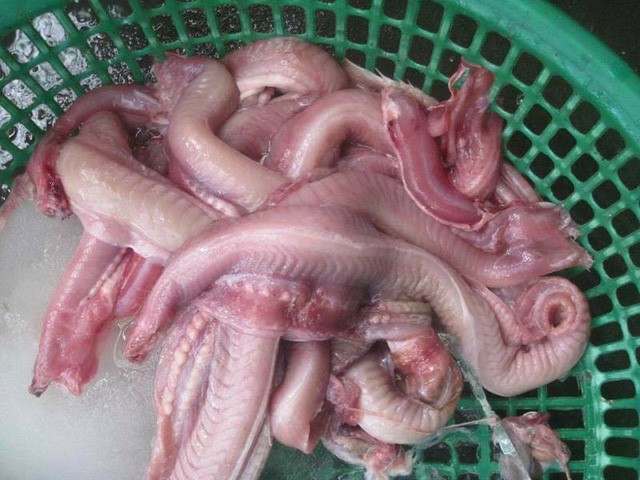 Những đặc sản hiếm c&oacute; kh&oacute; t&igrave;m &ldquo;ăn l&agrave; ghiền&rdquo; ở Quy Nhơn - Ảnh 6.