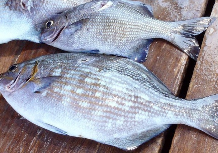 Những đặc sản hiếm c&oacute; kh&oacute; t&igrave;m &ldquo;ăn l&agrave; ghiền&rdquo; ở Quy Nhơn - Ảnh 9.