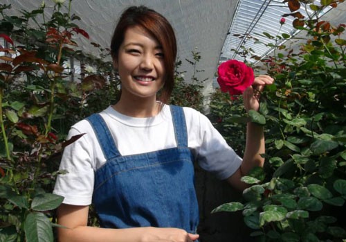 Làm giàu từ hoa hồng organic