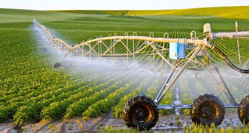Kiều bào về quê đầu tư nông nghiệp thông minh