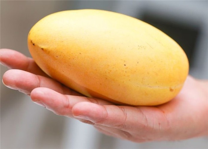 Ph&acirc;n biệt tr&aacute;i c&acirc;y ngậm h&oacute;a chất tr&aacute;nh mua nhầm dịp Tết - Ảnh 5.