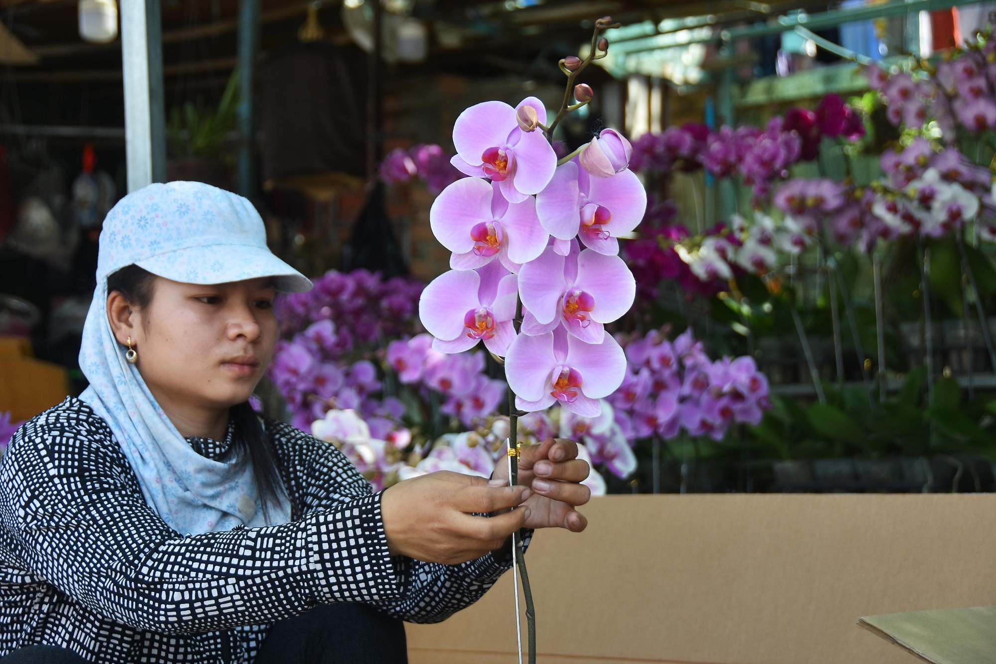 N&ocirc;n nao buổi s&aacute;ng cuối năm ở TP HCM - Ảnh 17.