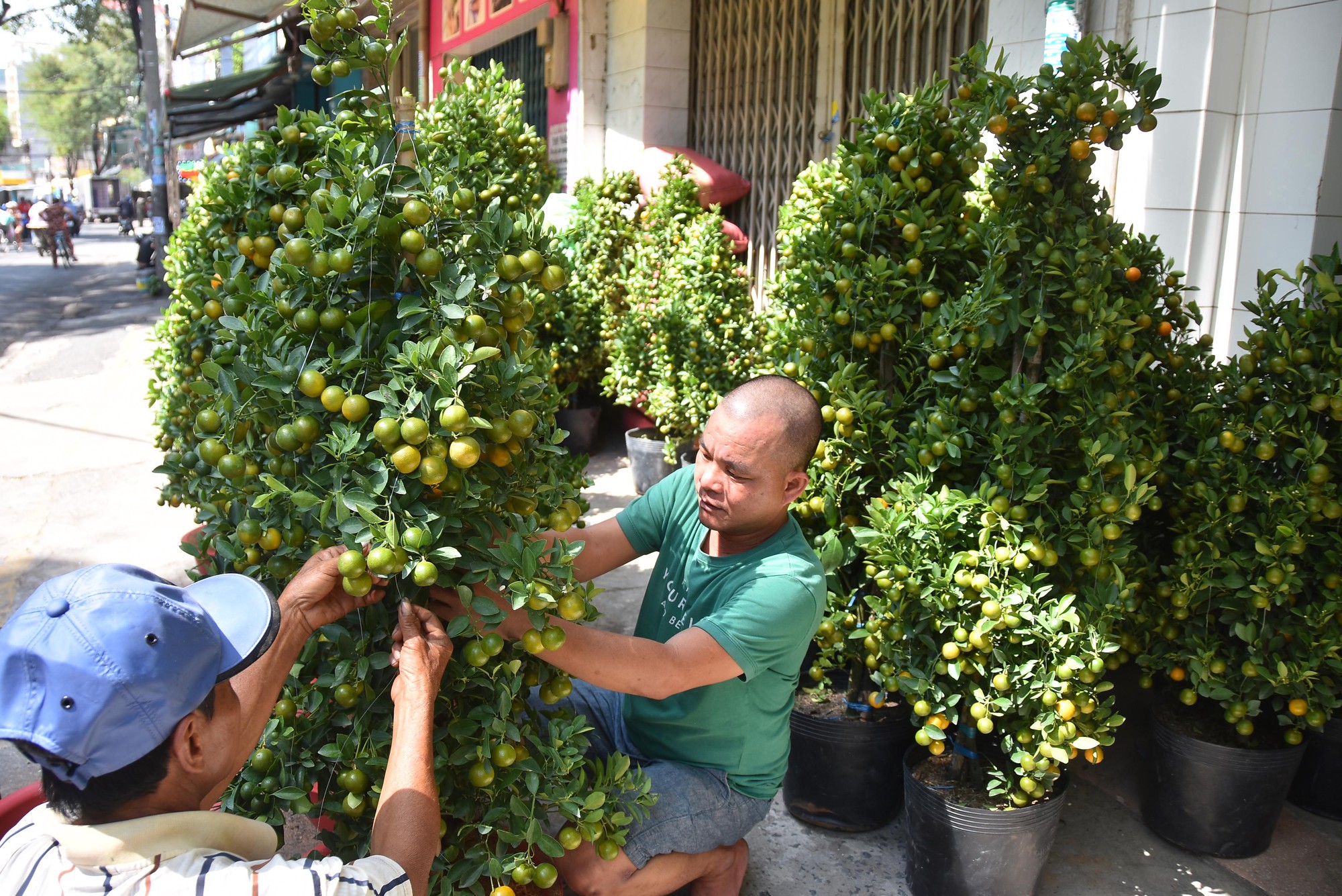 N&ocirc;n nao buổi s&aacute;ng cuối năm ở TP HCM - Ảnh 13.