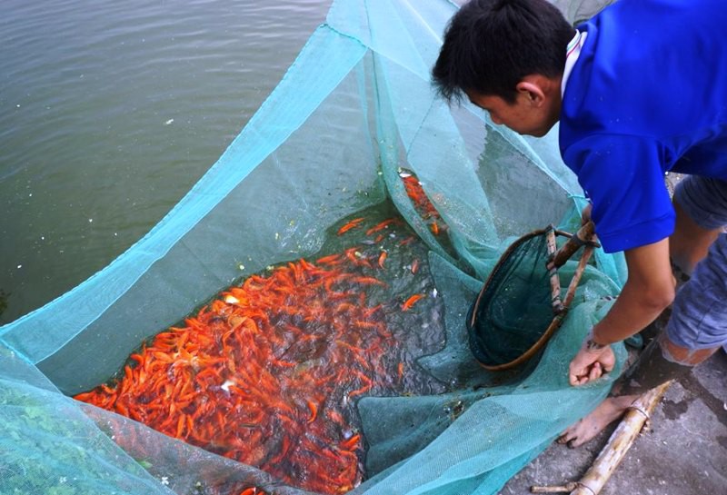 Nhộn nhịp ở l&agrave;ng nu&ocirc;i c&aacute; ch&eacute;p đỏ &ldquo;c&otilde;ng&rdquo; &ocirc;ng C&ocirc;ng, &ocirc;ng T&aacute;o về trời - Ảnh 6.