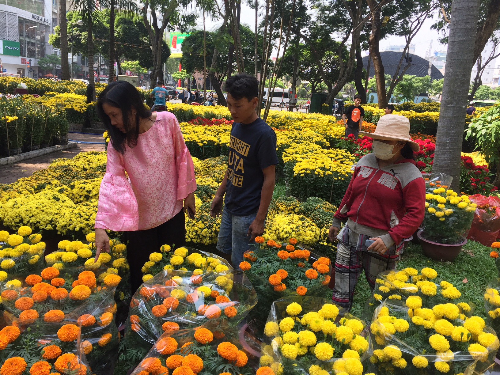 Hoa kiểng Tết ồ ạt về TP HCM