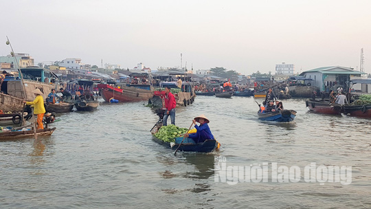 Tiểu thương chợ nổi C&aacute;i Răng phấn khởi khi được ph&oacute; chủ tịch tặng qu&agrave; Tết - Ảnh 7.