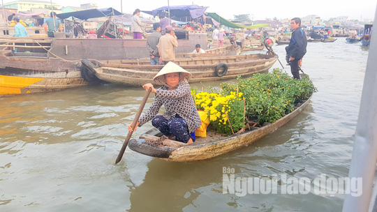 Tiểu thương chợ nổi C&aacute;i Răng phấn khởi khi được ph&oacute; chủ tịch tặng qu&agrave; Tết - Ảnh 6.