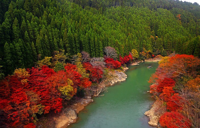 &lsquo;Cảm gi&aacute;c lạ&rsquo; thu h&uacute;t h&agrave;ng chục triệu kh&aacute;ch đến rừng tre ở Nhật mỗi năm - Ảnh 2.