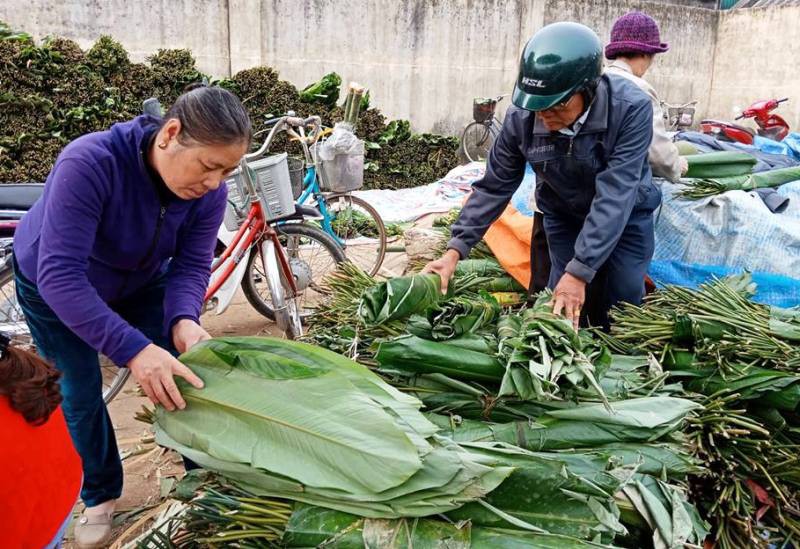 Lá dong rừng giá cao chót vót, dân vẫn đổ xô đi mua về gói bánh chưng