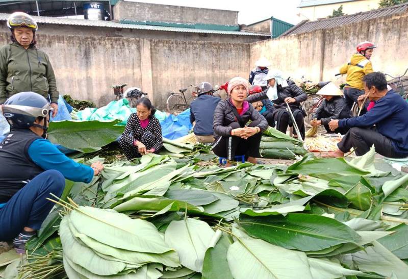Lá dong rừng giá cao chót vót, dân vẫn đổ xô đi mua về gói bánh chưng - Ảnh 2.
