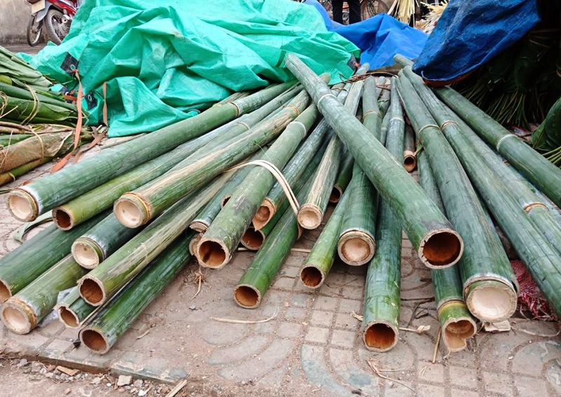 Lá dong rừng giá cao chót vót, dân vẫn đổ xô đi mua về gói bánh chưng - Ảnh 14.