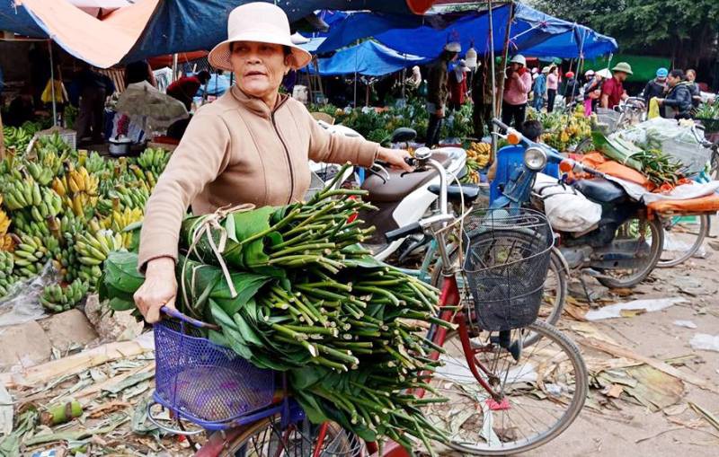 Lá dong rừng giá cao chót vót, dân vẫn đổ xô đi mua về gói bánh chưng - Ảnh 7.