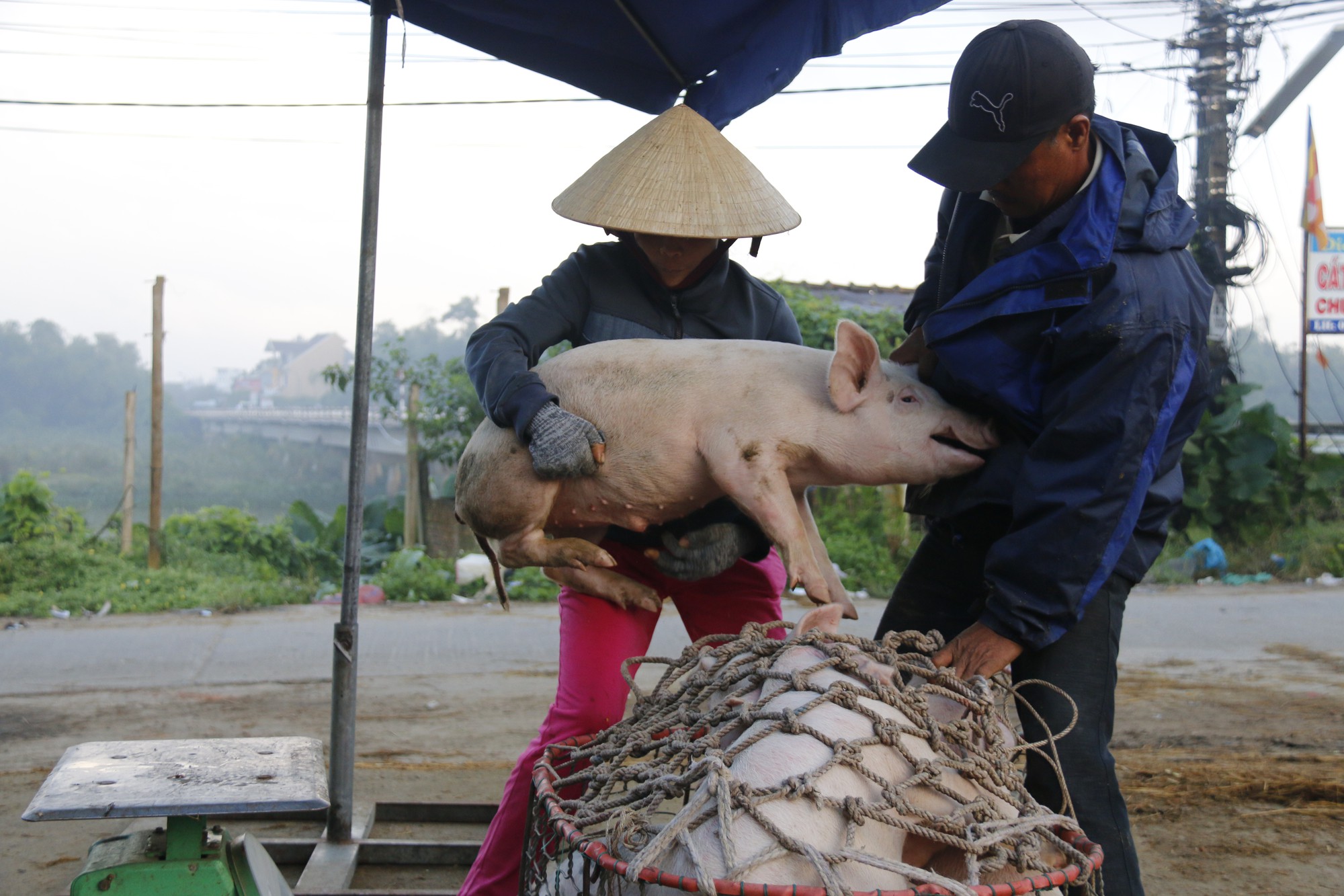 Nghề độc ở chợ heo lớn nhất Quảng Nam - Ảnh 22.