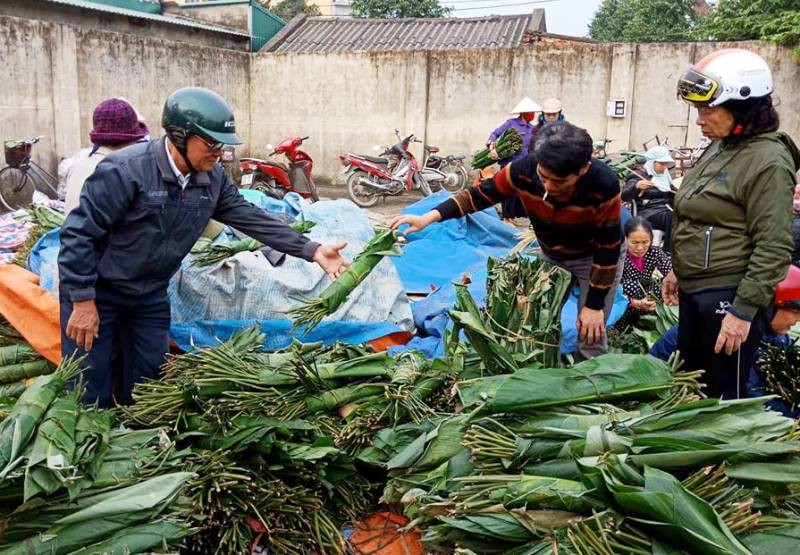Lá dong rừng giá cao chót vót, dân vẫn đổ xô đi mua về gói bánh chưng - Ảnh 5.