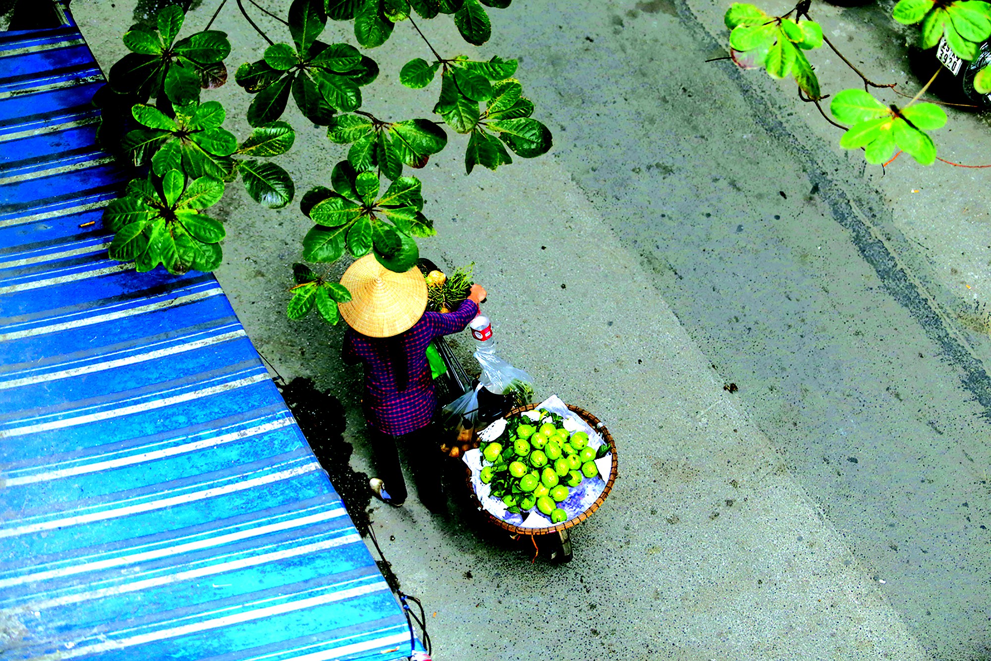 NGƯỜI MIỀN TRUNG ở sài gòn xưa