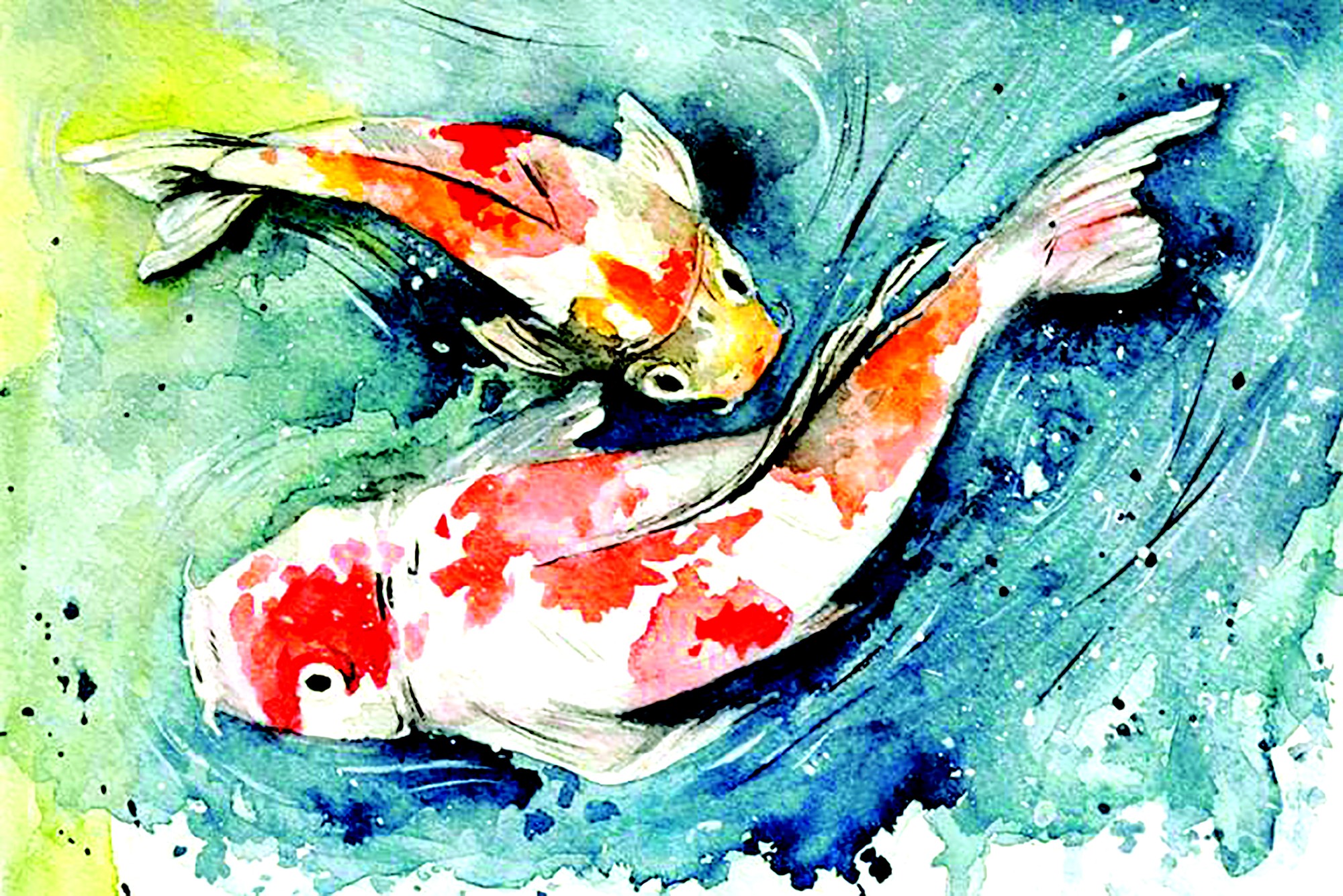 Người mang đại dương về thành phố