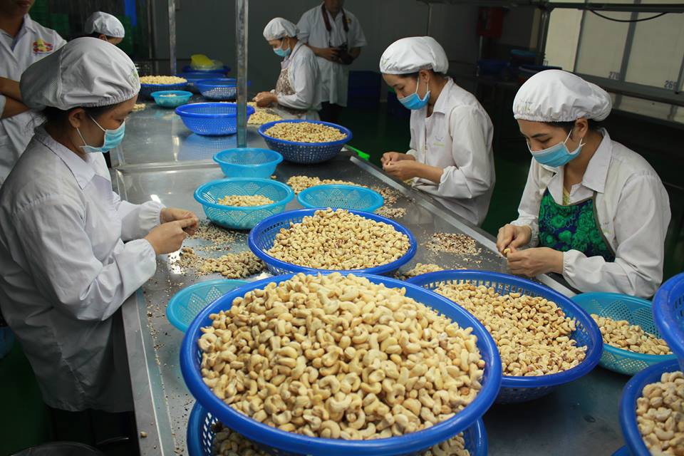 Việt Nam đặt mục tiêu vào tốp 15 nền nông nghiệp phát triển nhất thế giới