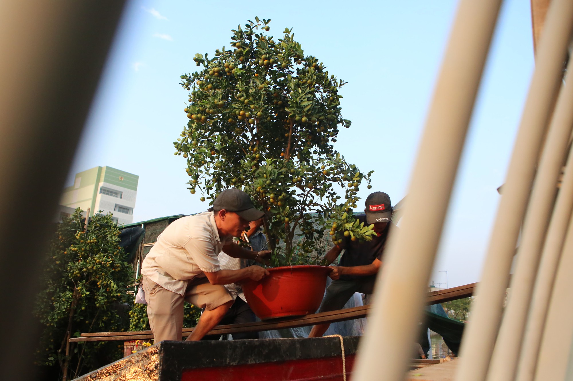 Chợ hoa Tết Bến B&igrave;nh Đ&ocirc;ng ng&agrave;y c&agrave;ng đ&igrave;u hiu d&ugrave; cận Tết - Ảnh 2.