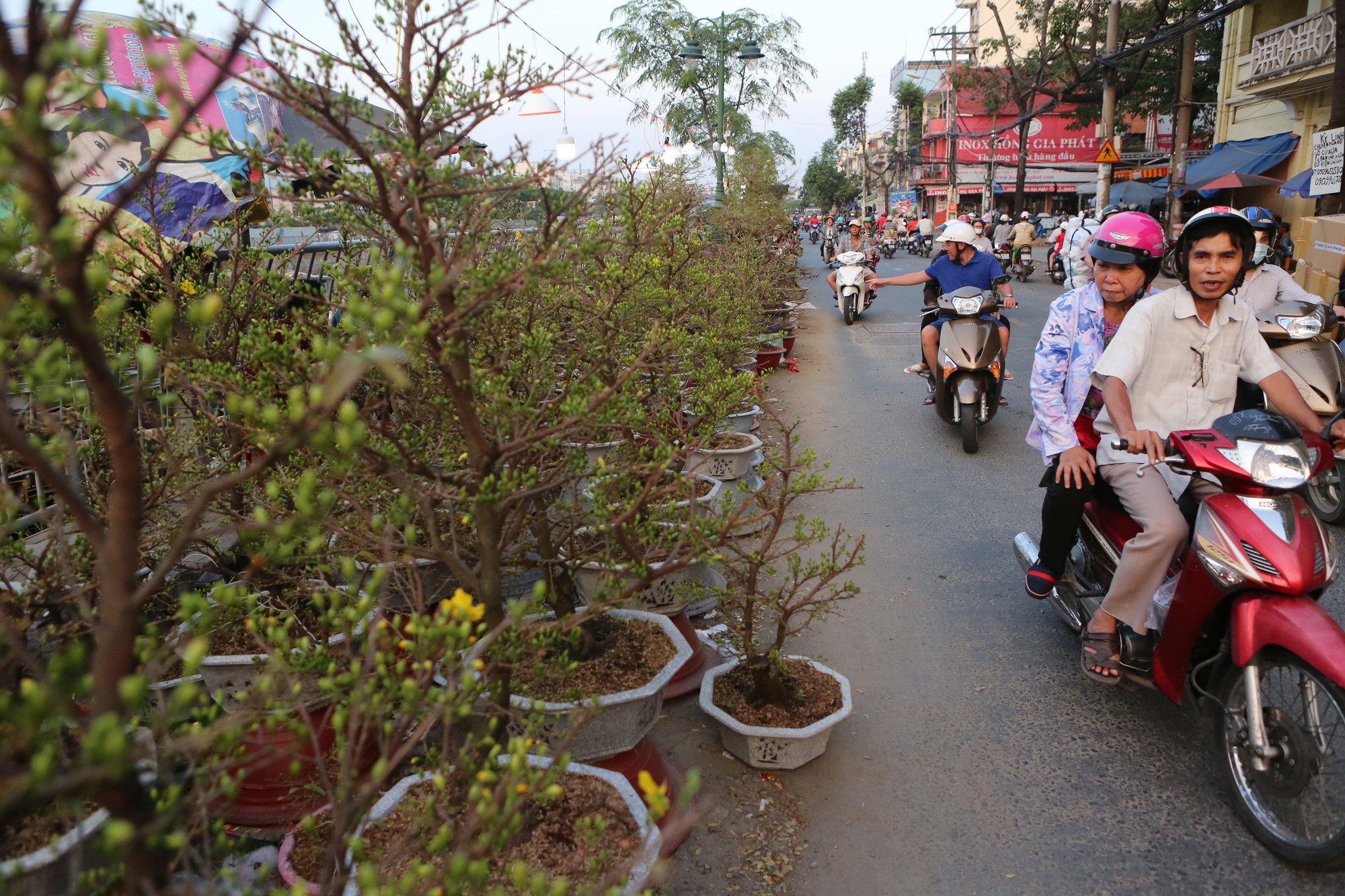 Chợ hoa Tết Bến B&igrave;nh Đ&ocirc;ng ng&agrave;y c&agrave;ng đ&igrave;u hiu d&ugrave; cận Tết - Ảnh 7.