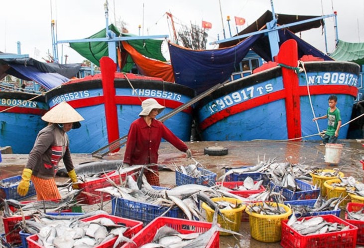 Những đứa con của tr&ugrave;ng khơi - Ảnh 3.
