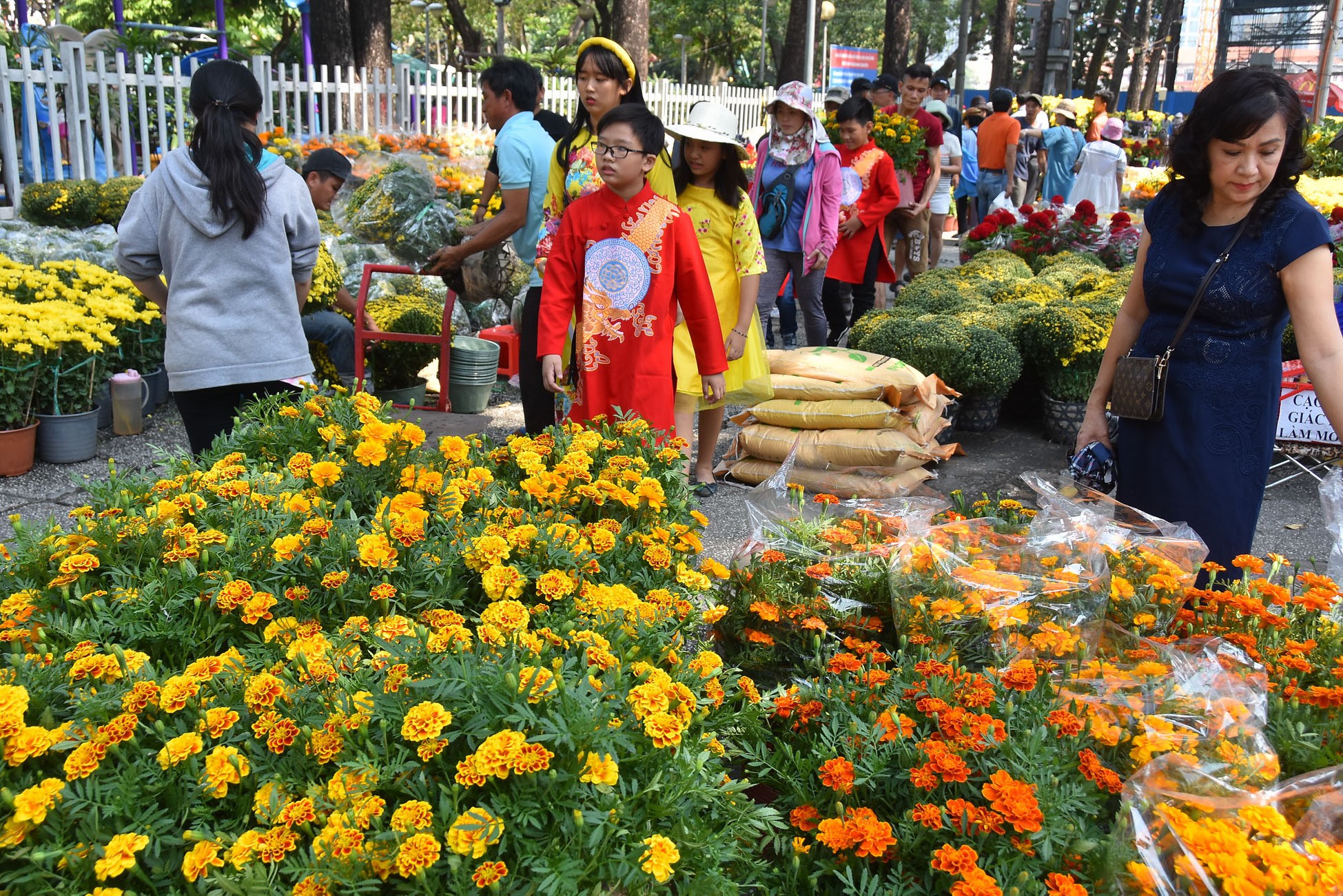 Chợ hoa Tết Bến B&igrave;nh Đ&ocirc;ng ng&agrave;y c&agrave;ng đ&igrave;u hiu d&ugrave; cận Tết - Ảnh 8.