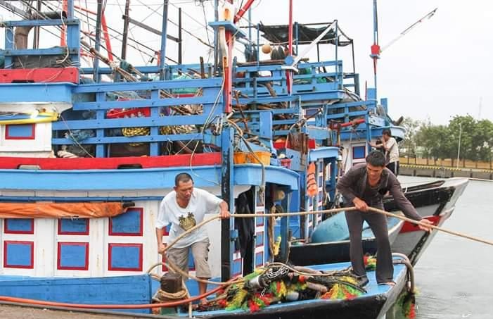 Những đứa con của tr&ugrave;ng khơi - Ảnh 2.