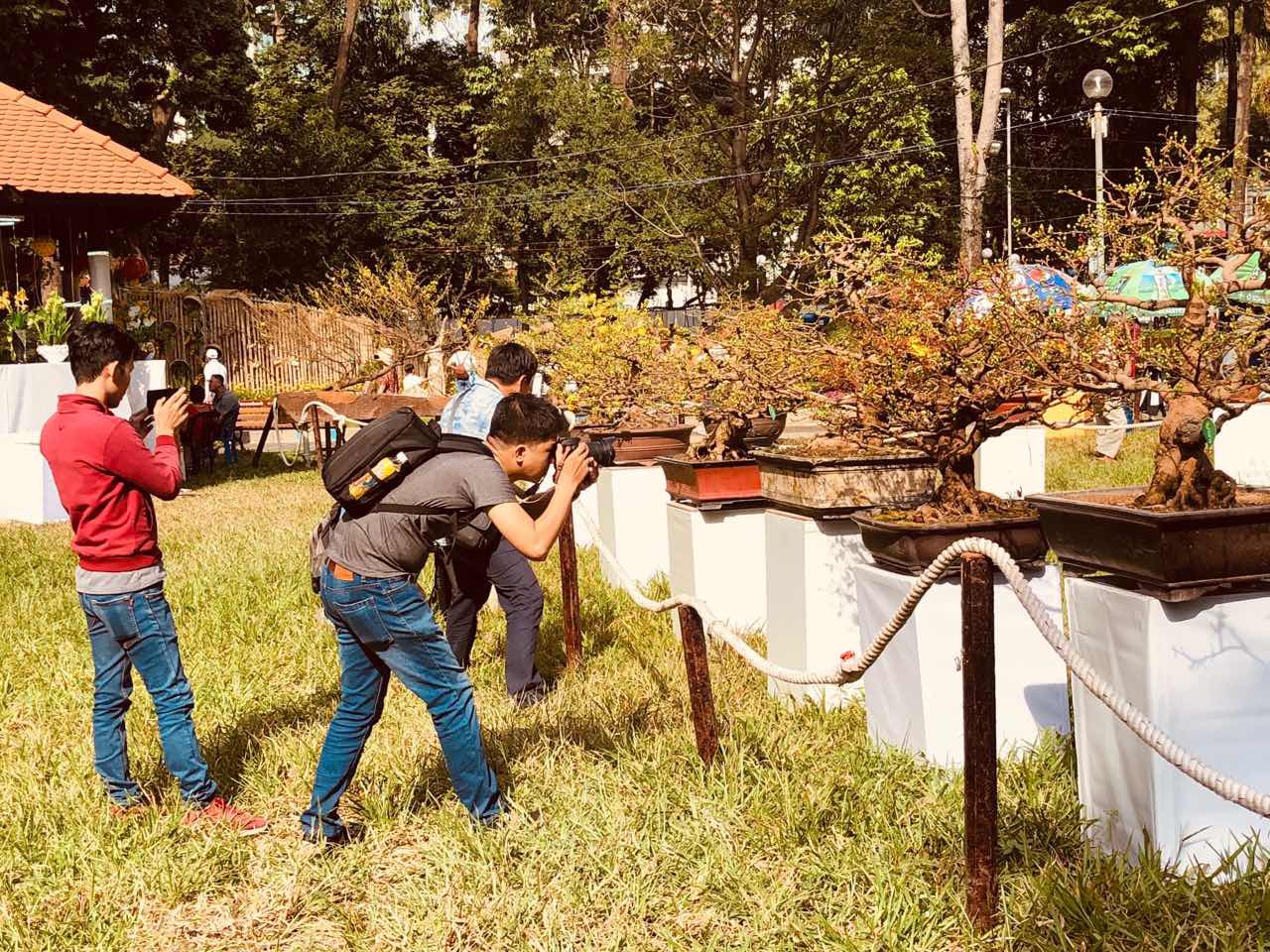 Mai l&agrave; điểm nhấn của Hội Hoa Xu&acirc;n Tao Đ&agrave;n - Ảnh 3.