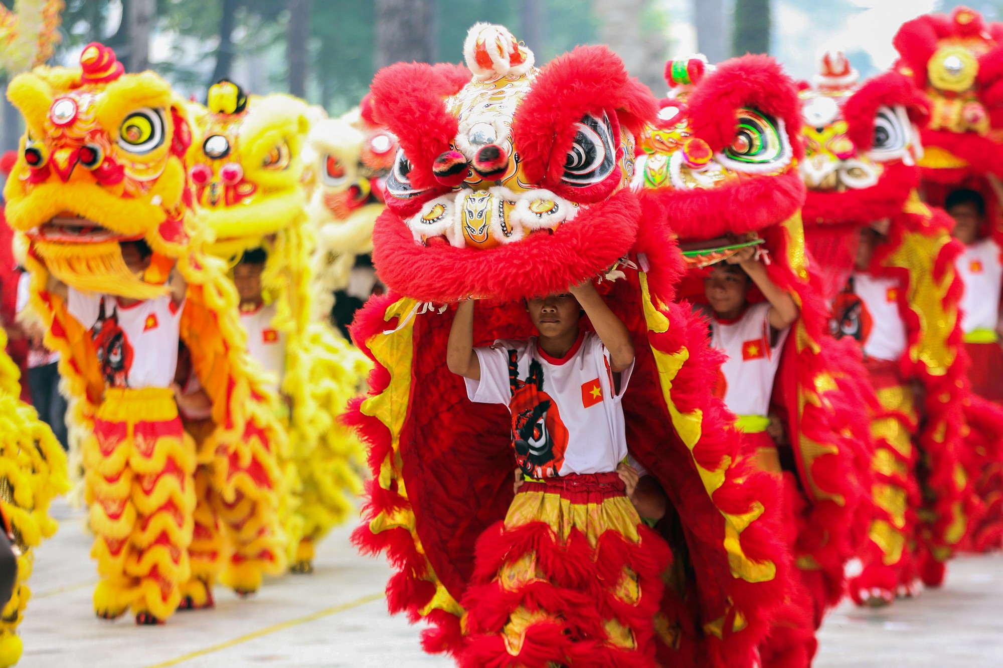 Tết người Hoa ở khu Chợ Lớn