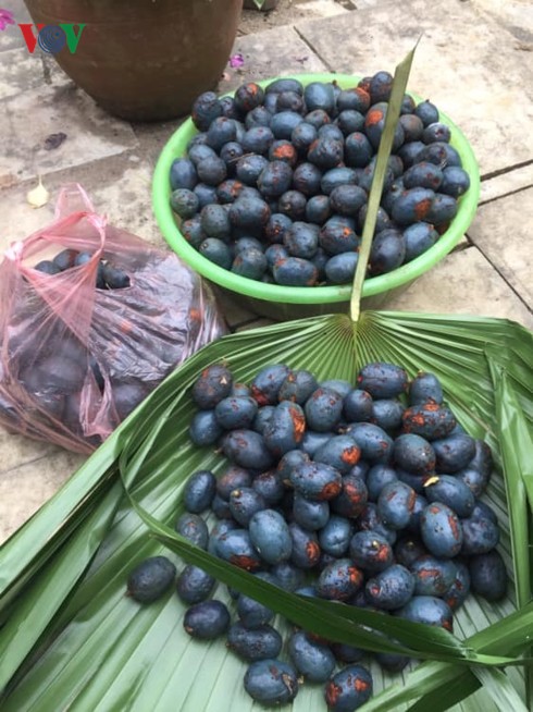 Ngọt b&ugrave;i Cọ ỏm của người Dao đỏ Y&ecirc;n B&aacute;i - Ảnh 1.