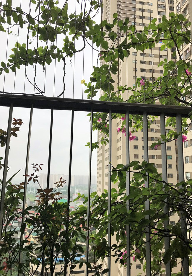 Căn nhà đầu tiên và bài học nhớ đời