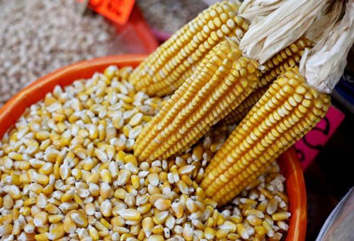 Vụ gian lận thực phẩm organic gây rúng động ở Mỹ