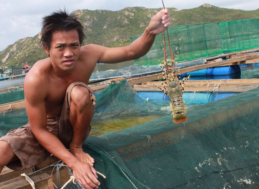 Lập chiến lược nuôi, trồng thủy sản