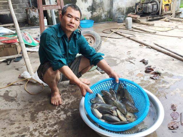 Đ&uacute;t t&uacute;i 200 triệu đồng/năm dễ như trở b&agrave;n tay nhờ c&aacute; r&ocirc; &ldquo;tiến Vua&rdquo; - Ảnh 6.