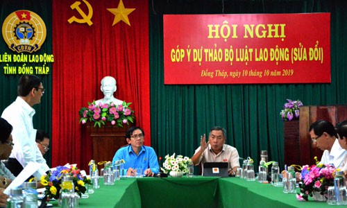 Đồng Tháp: Tăng tuổi nghỉ hưu, nguy cơ tai nạn lao động cao - Ảnh 1.
